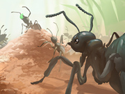 Ants.io