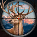 Wild Hunt Hunting Games 3D